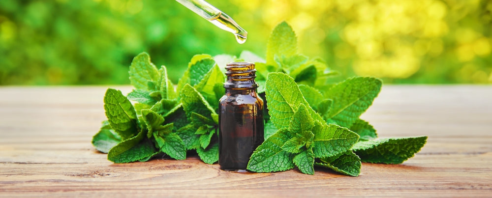 Peppermint Essential Oil