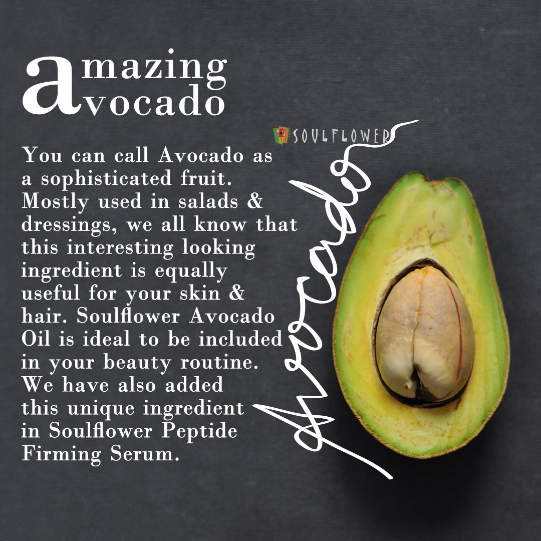 Special Herbs : Avocado