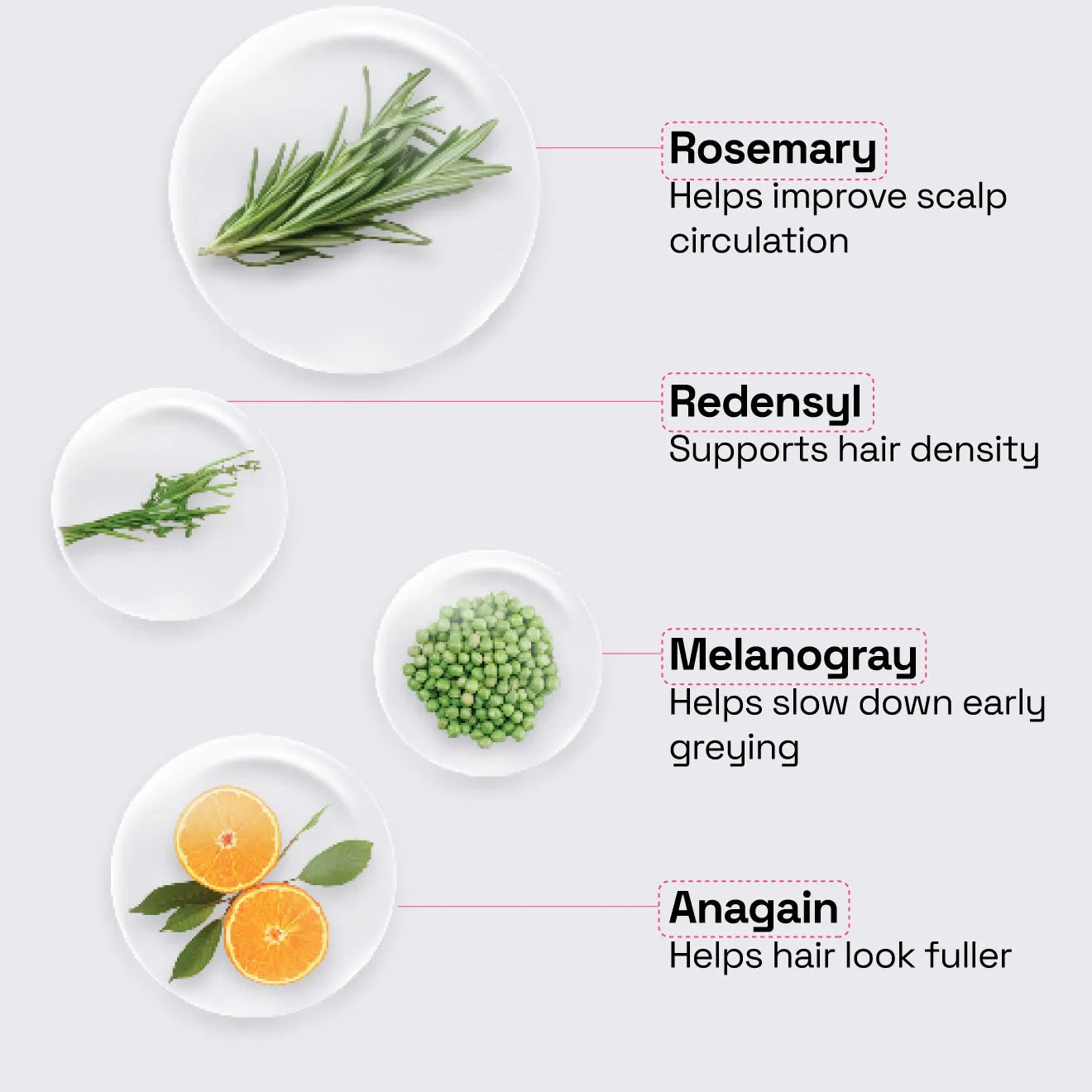 Rosemary Redensyl Hair Serum