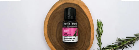 14 Benefits and Uses of Rosemary Essential