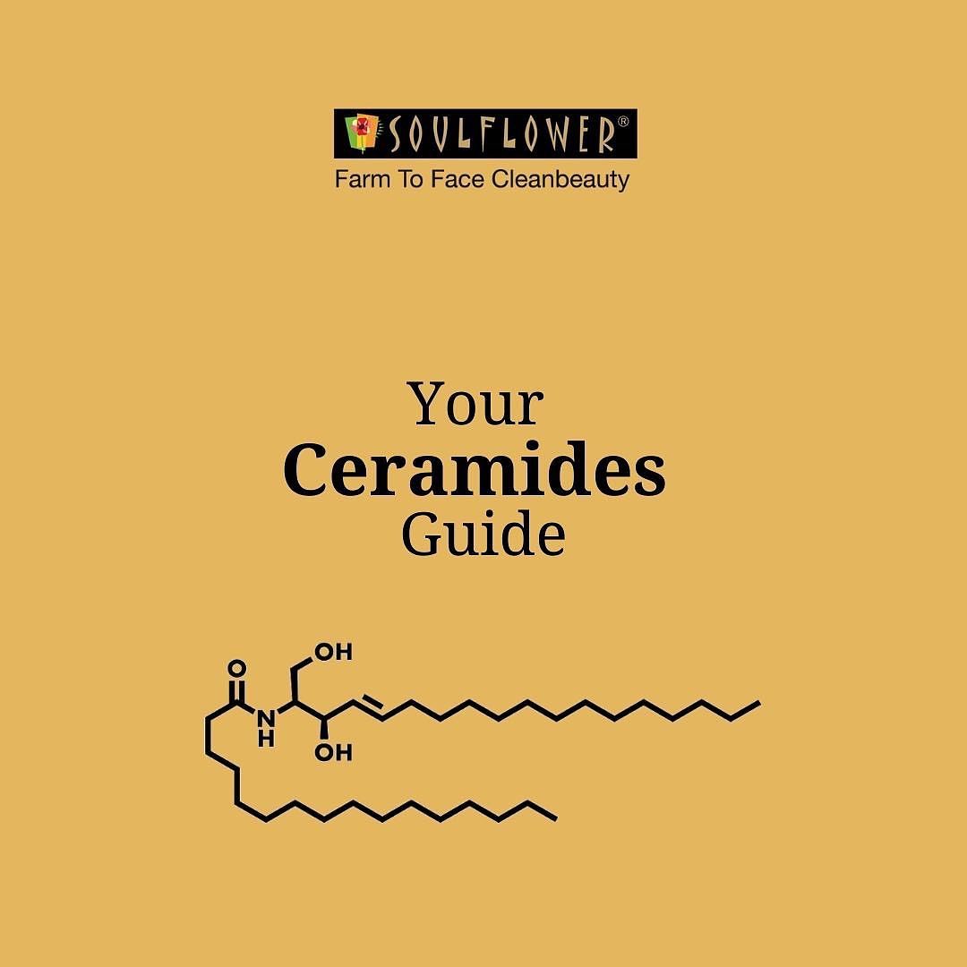 Your Complete Ceramides Guide