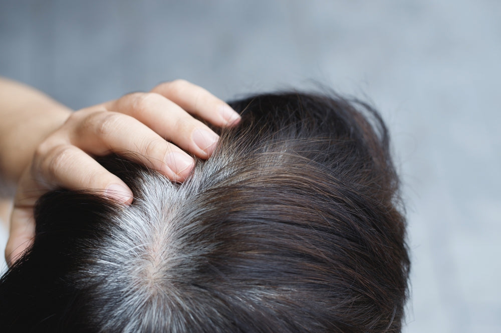 Rosemary for Premature Graying: Can It Really Darken Hair?