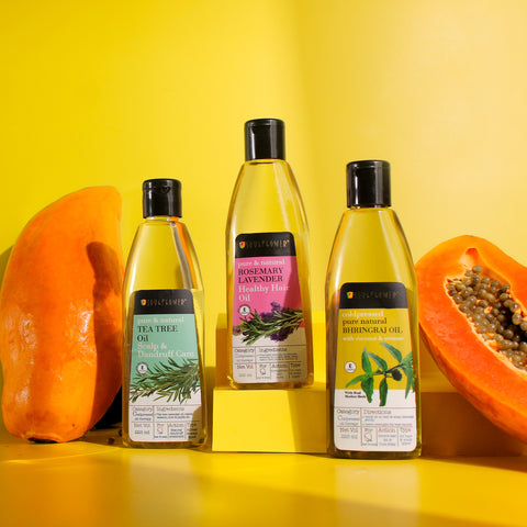 How To Oil Your Hair? Guides and Tips