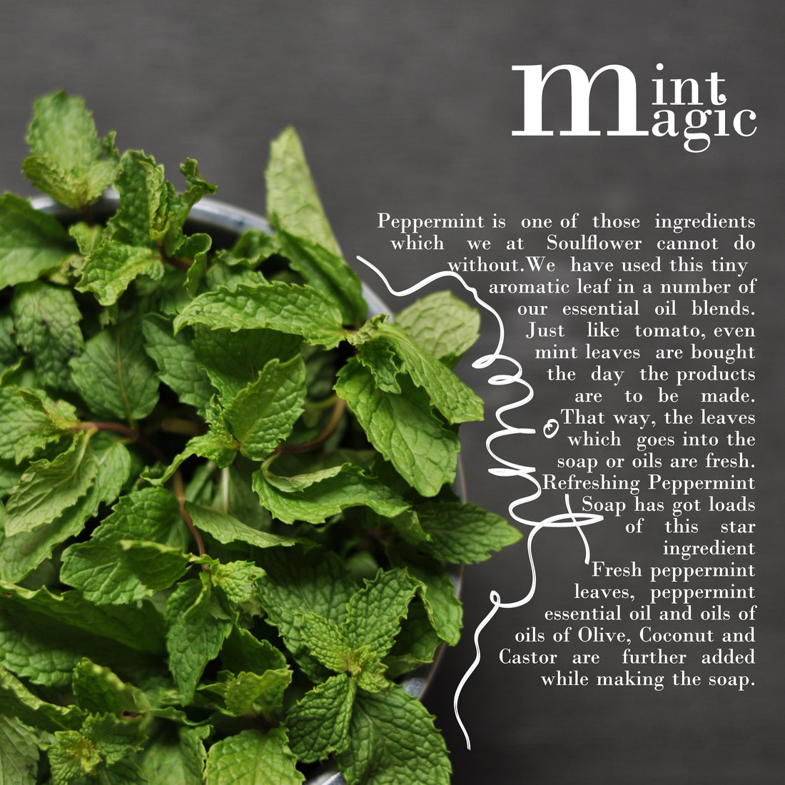 It's all about Mint Magic!