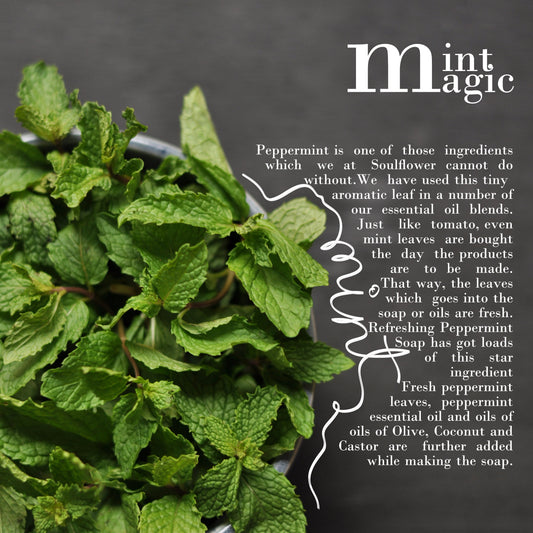 It's all about Mint Magic!