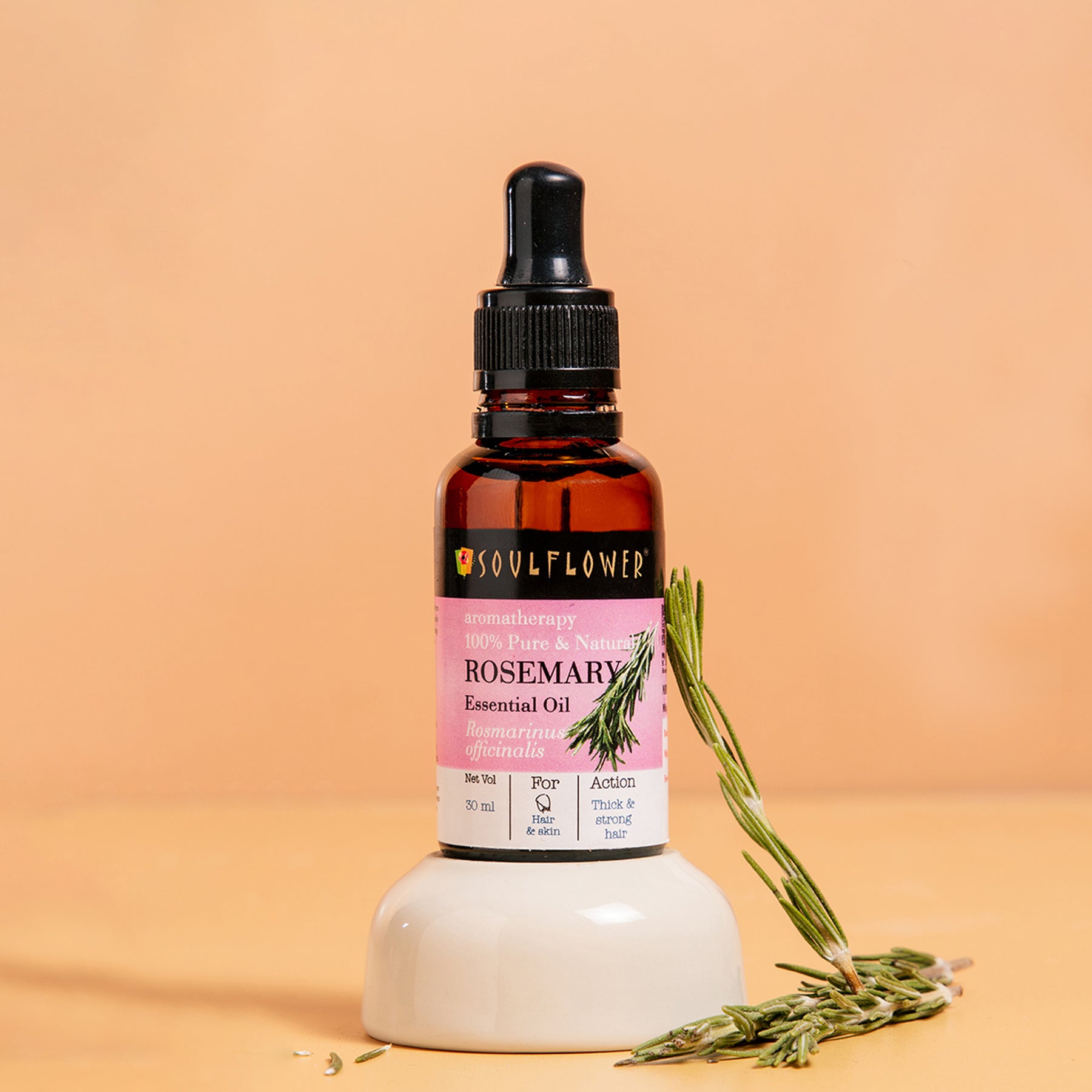 Captivating Soulflower Rosemary Essential Oil Image Nature Captivating Soulflower Rosemary Essential Oil Image Nature