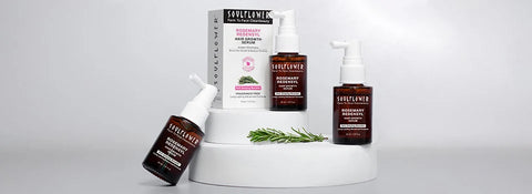 Rosemary for Premature Graying: Can It Really Darken Hair?