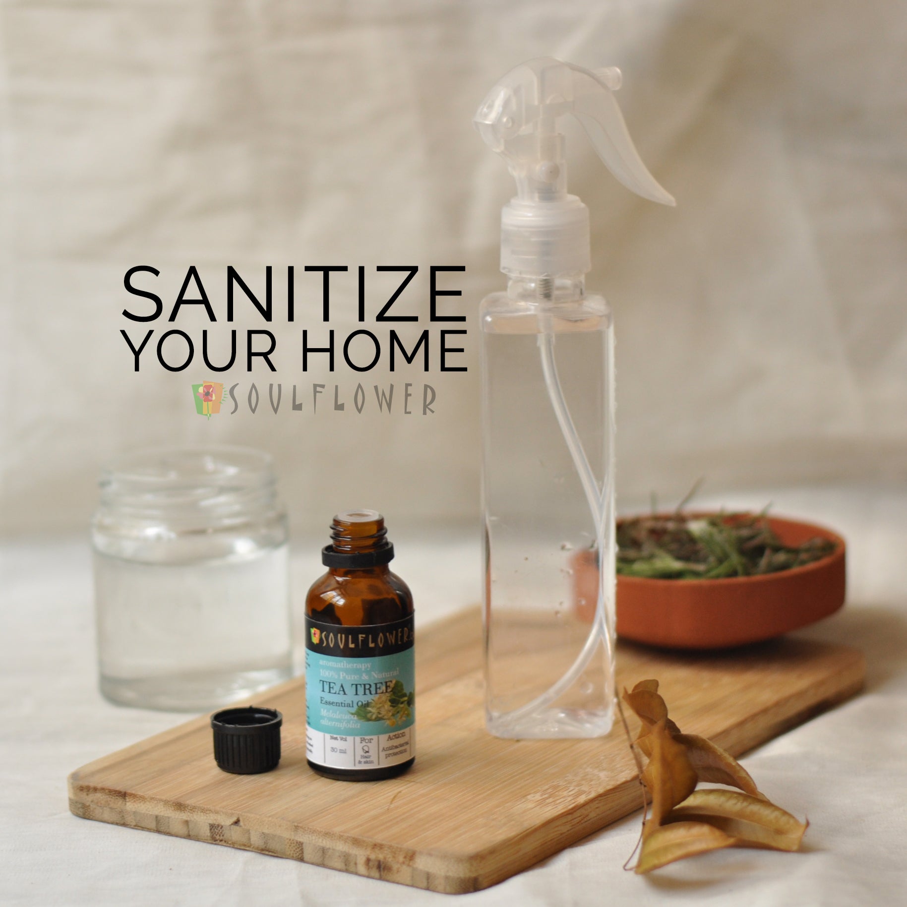 Sanitize Your Home!