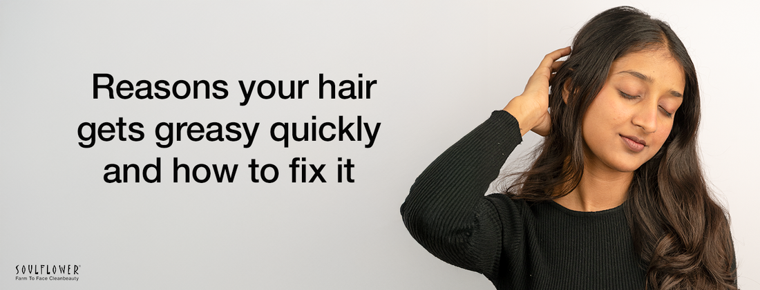 Top Reasons Your Hair Gets Greasy Quickly and How to Fix It
