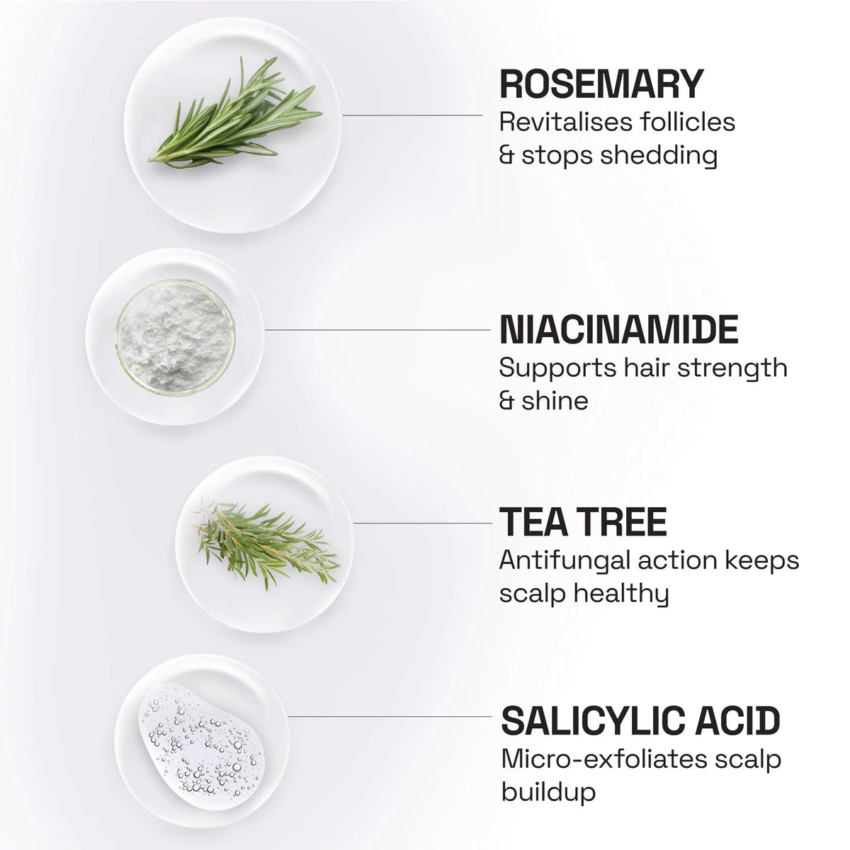 Rosemary Tea Tree Shampoo