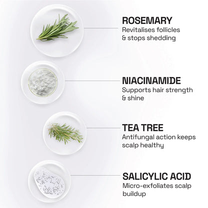 Rosemary Tea Tree Shampoo