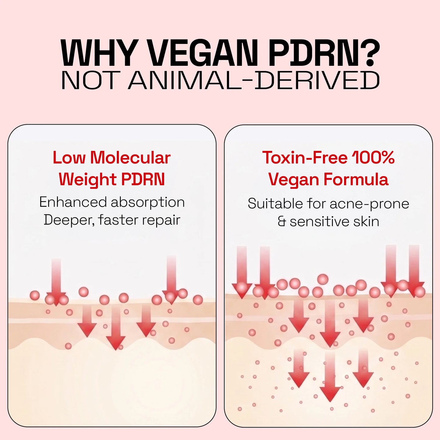 PDRN + Exosome Spotless Capsule Cream