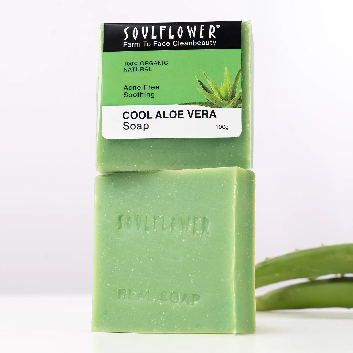 Cool Aloe Vera Soap