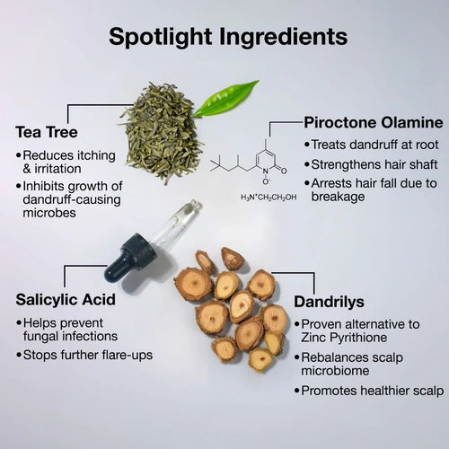 Natural ingredients used in Anti Shedding Dandruff Shampoo 