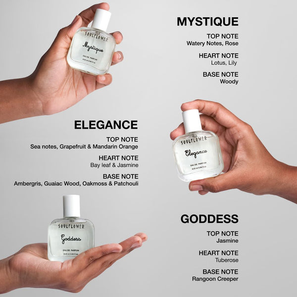 Set of 3 parfume notes