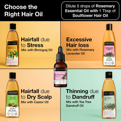 rosemary oil for every hair and scalp problems solution 