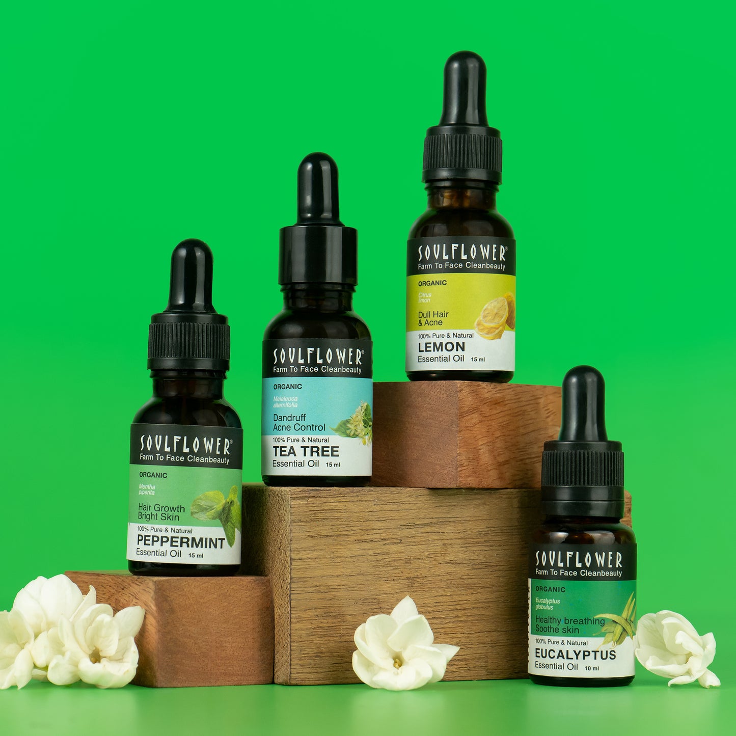 Lemon, Eucalyptus, Tea Tree & Peppermint Oils Set