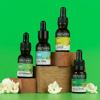 Lemon, Eucalyptus, Tea Tree & Peppermint Oils Set
