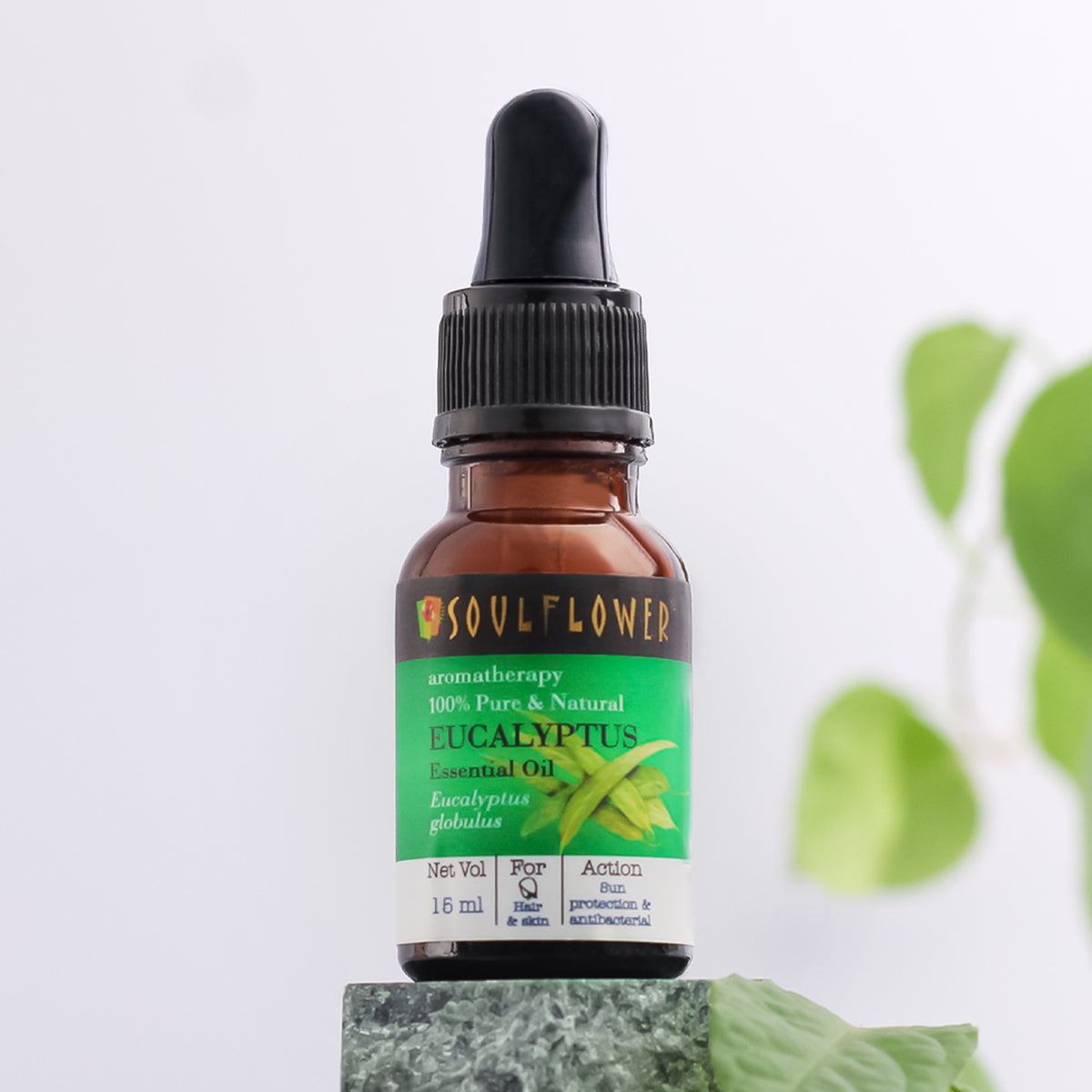 Eucalyptus (Nilgiri) Essential Oil