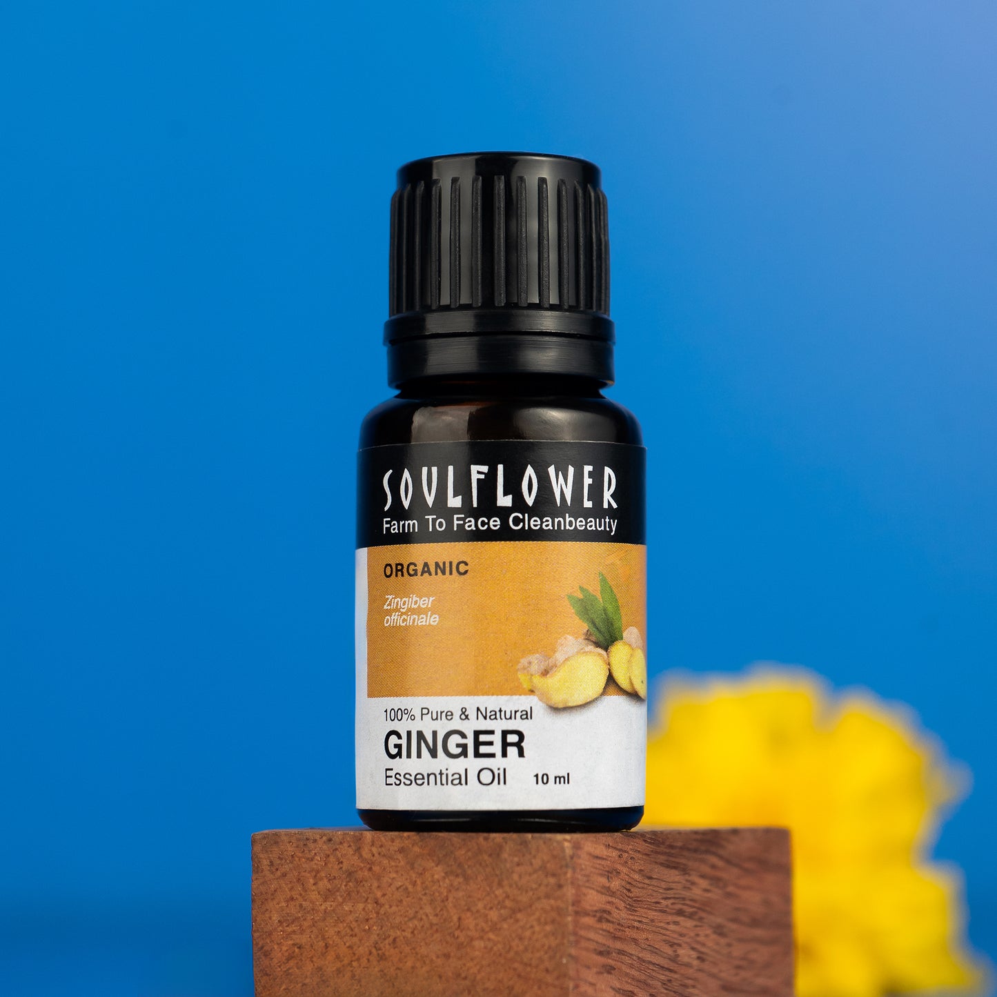 Ginger Essential Oil for Sore Muscles