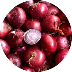 Onion