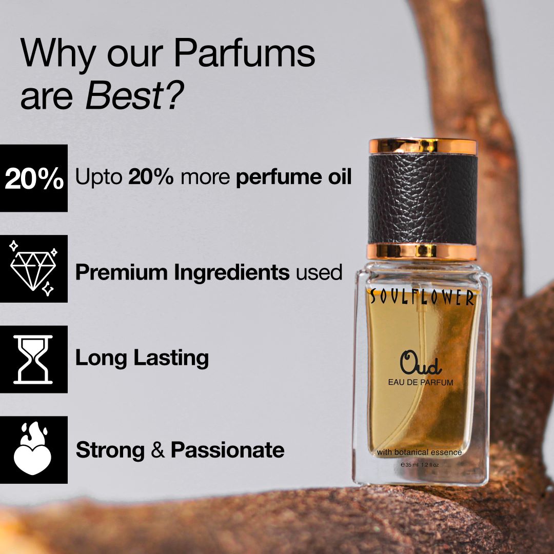 Best perfume oud long lasting strong