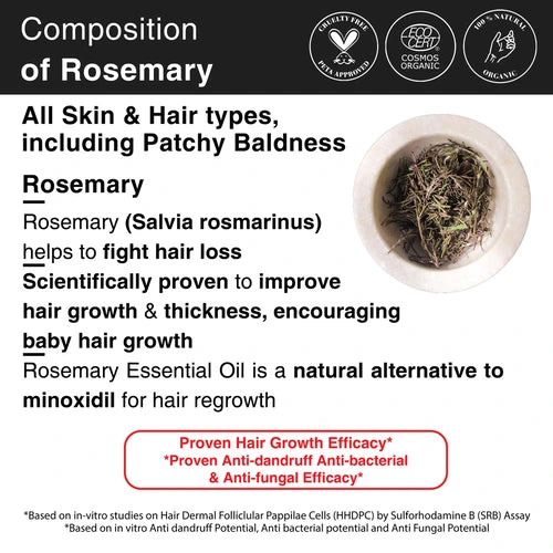 3x Rosemary for Hair Fall