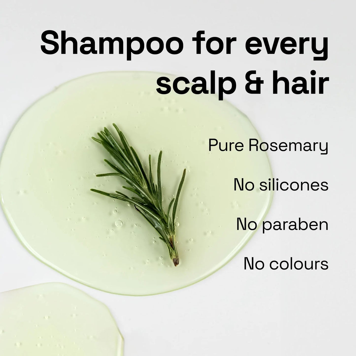 Rosemary Tea Tree Shampoo with 2% Salicylic Acid, 1% Niacinamide