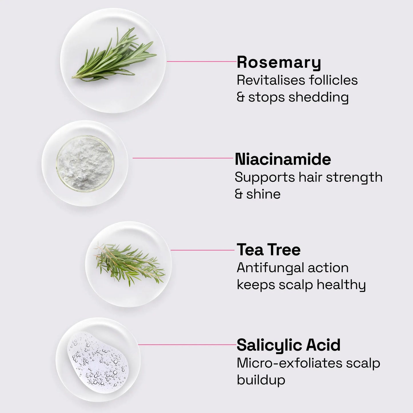 Rosemary Tea Tree Shampoo with 2% Salicylic Acid, 1% Niacinamide
