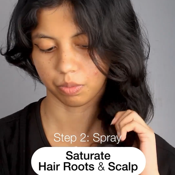 How to Use