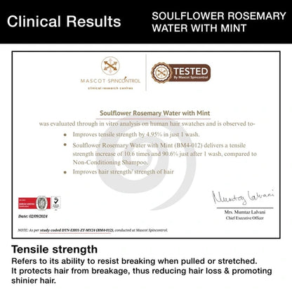 Buy Best Rosemary Water Hair Spray with Mint for Healthy Hair - Boosts shine, strengthens hair, and soothes scalp