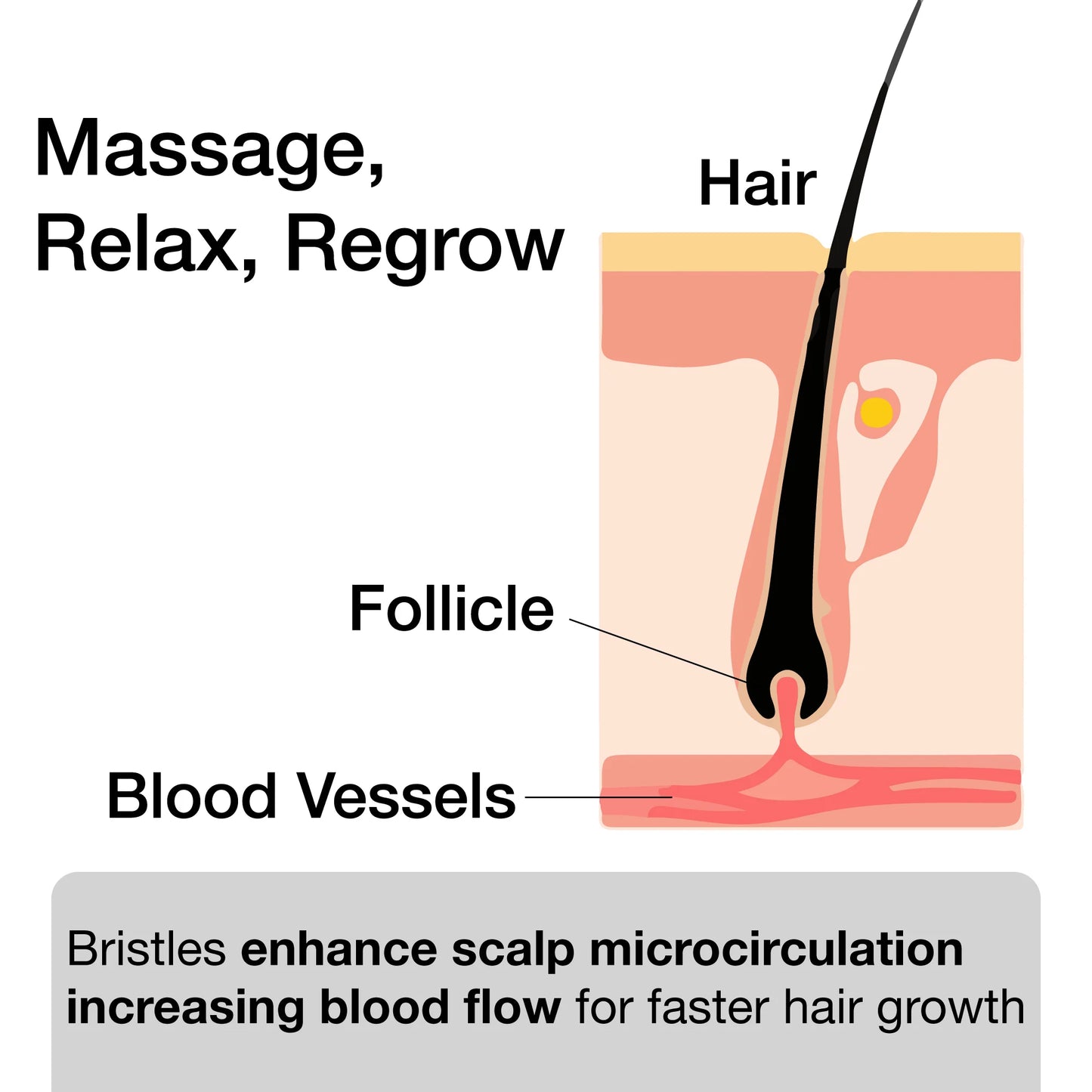 Hair Growth Scalp Massager