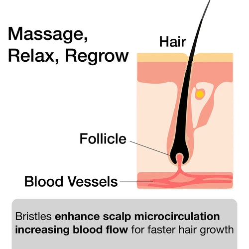 Bristles enhance scalp microcirculation increasing blood flow for faster hair growth.
