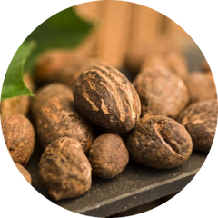 Shea Butter