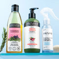 3x Frizz Free Routine