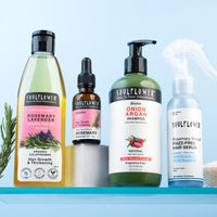 4x Frizz Free Routine