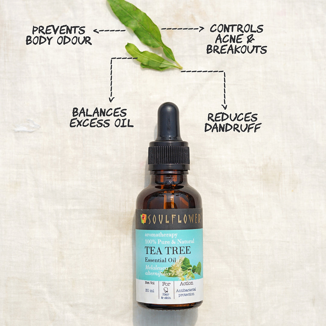 benefits tea tree oil for hair