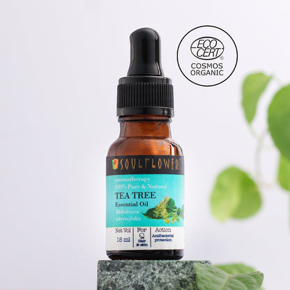 Tea Tree Essential Oil for Dandruff