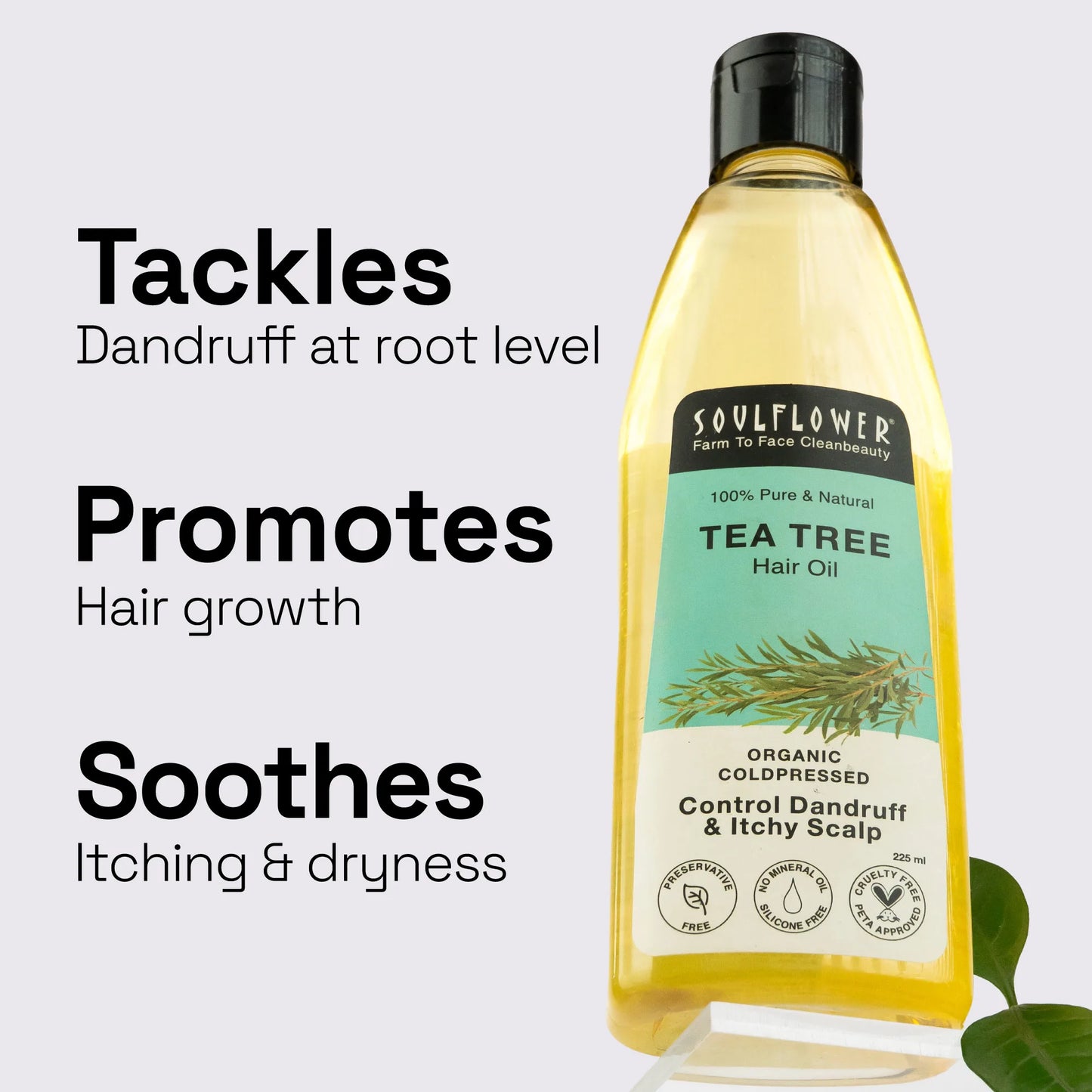 Tea Tree Anti Dandruff Scalp Oil