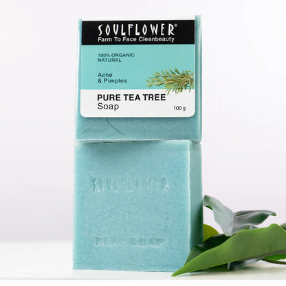 Tea Tree Soap for Body Acne Control