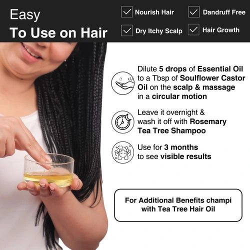 how to use Tea tree hair oil reduce dandruff
