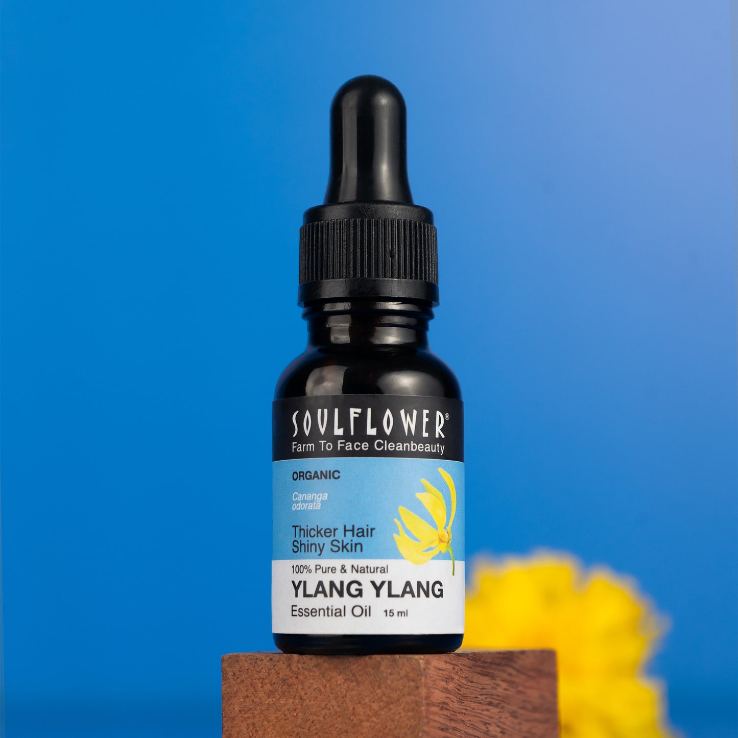 Ylang Ylang Essential Oil for Thick Hair