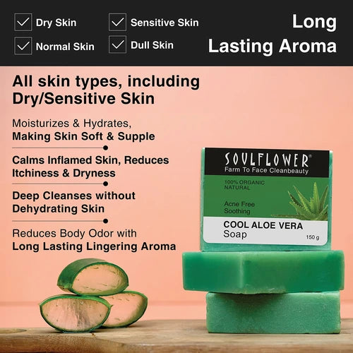 benefits of Cool aloe vera soap for all skin types which has long lasting aroma
