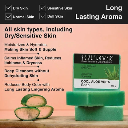 benefits of Cool aloe vera soap for all skin types which has long lasting aroma
