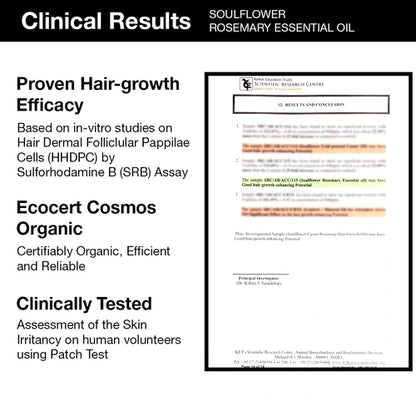 5X Rosemary for Excessive Hair Fall