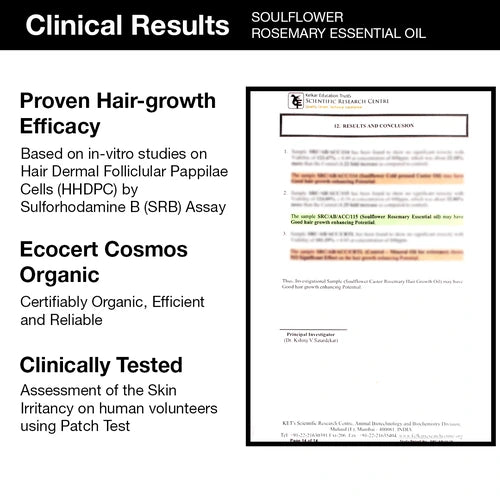 Rosemary Essential Oil + Lightweight Mint Hair Oil