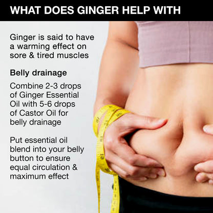 Ginger Essential Oil, Pure & Natural