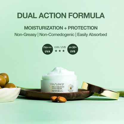 Sunscreen lotion | Aloe vera moisturiser