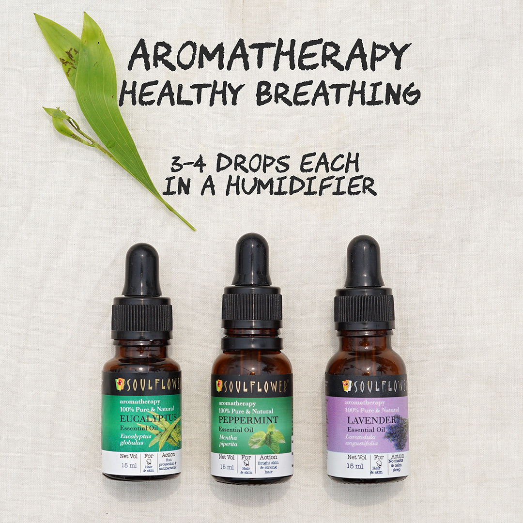 Eucalyptus Aromatheraphy 