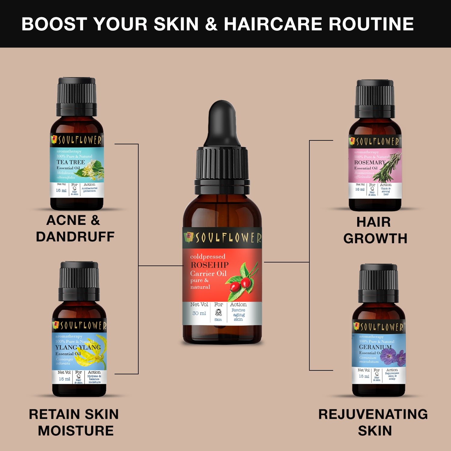 boost your Skin & Hair Routine